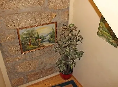 Guest House Estrela Guest house Porto